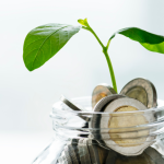 A Guide to Successfully Raising Seed Funding for Your Startup