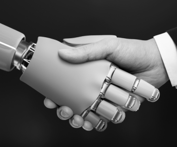 Riding the Vertical Wave: The Future of Specialized AI Startups