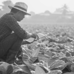 Developing the Future: Agtech and the Venture Capital Environment