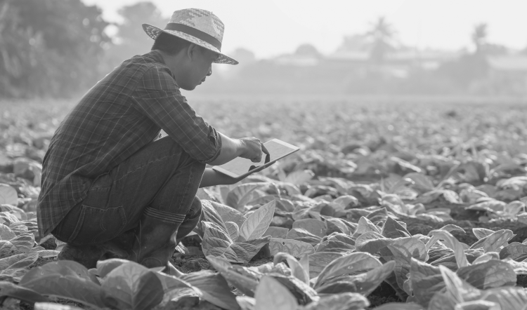 Developing the Future: Agtech and the Venture Capital Environment