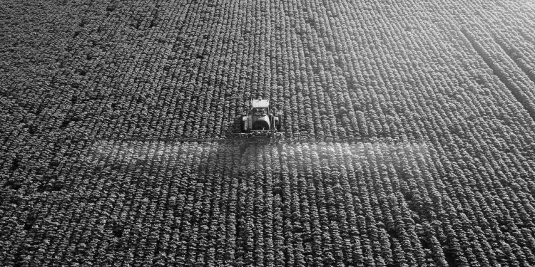  Investment Trends in Agtech