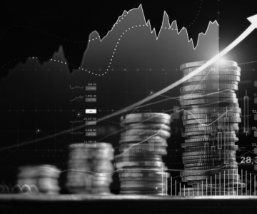 Where the Smart Money is Going: Trends and Strategies in 2024