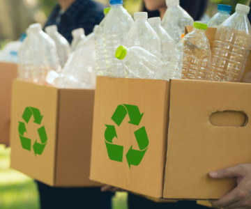 Investing in Plastic Recycling: A Smart Move for the Future