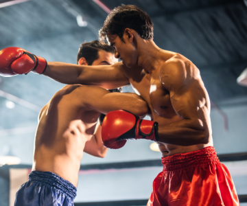 Investment Opportunities in Combat Sports Gear Manufacturing