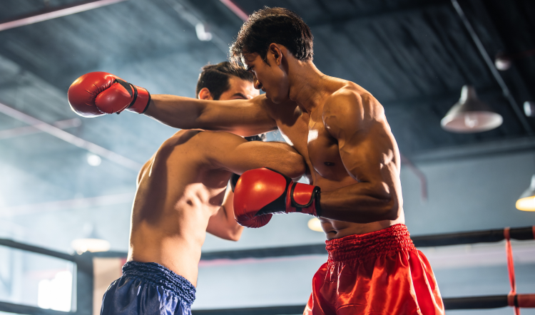 Investment Opportunities in Combat Sports Gear Manufacturing