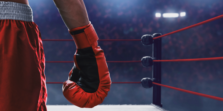 Image displays example of combat sport gear