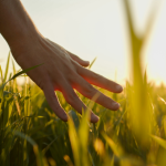 The Trajectory of Green Energy Investment