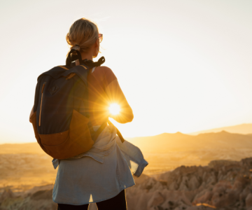 Venture-Debt Slowdown in 2024–25: What’s Next?